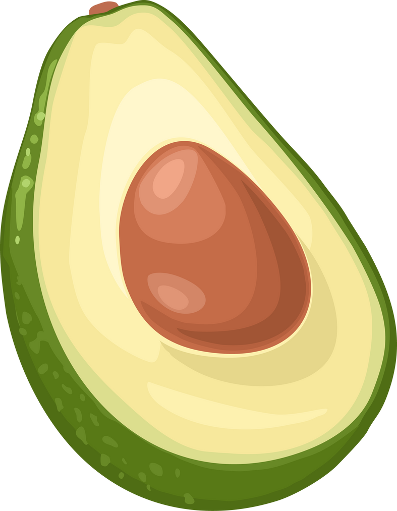 Half Avocado Illustration 